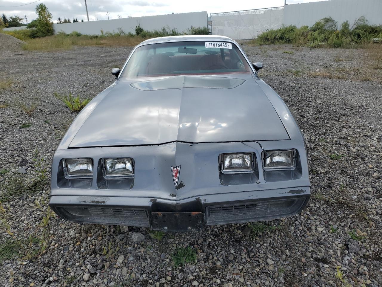 1981 Pontiac Firebird - Фото 5