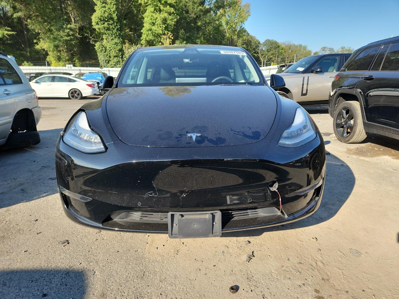 2021 Tesla Model Y - Фото 5