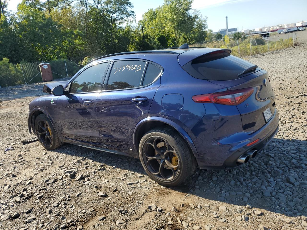 2020 Alfa Romeo Stelvio Quadrifoglio - Фото 2