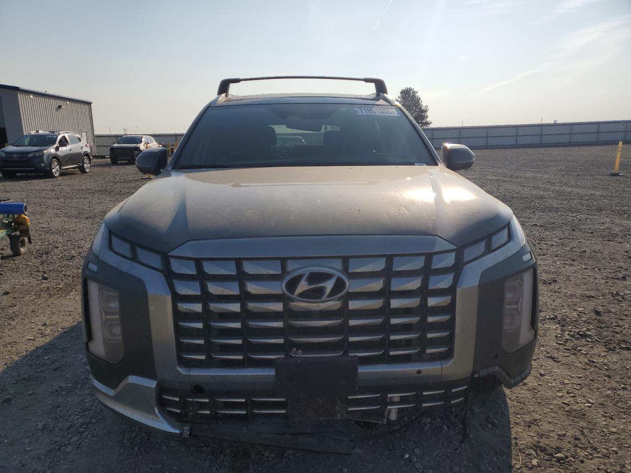 2023 Hyundai Palisade Calligraphy - Фото 5