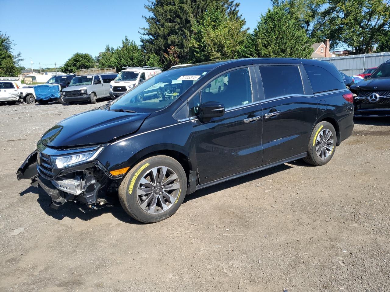 2024 Honda Odyssey Exl