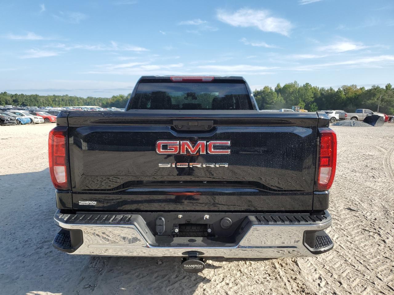 2025 GMC Sierra C1500 - Image 6