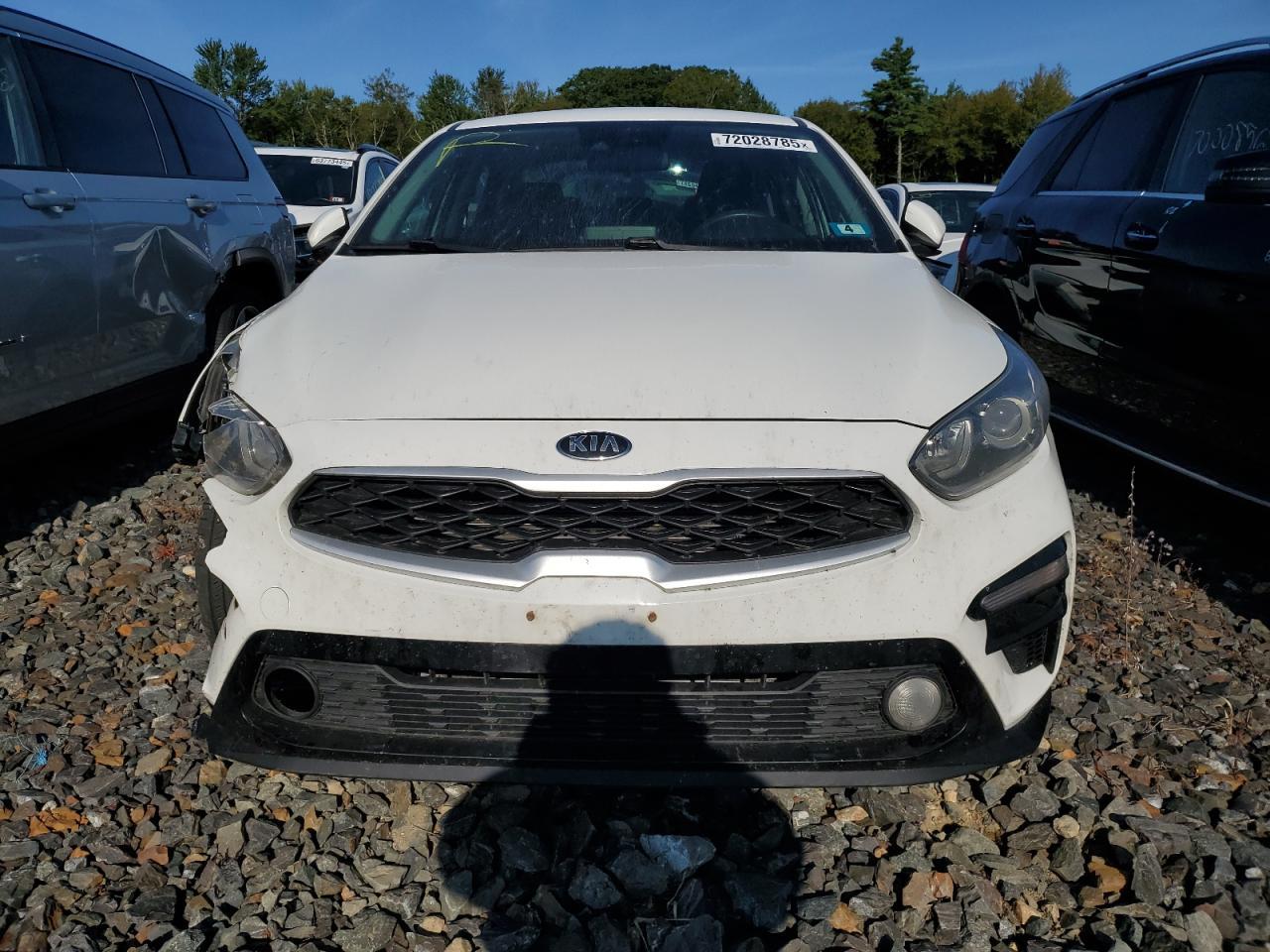 2019 Kia Forte Fe - Фото 5