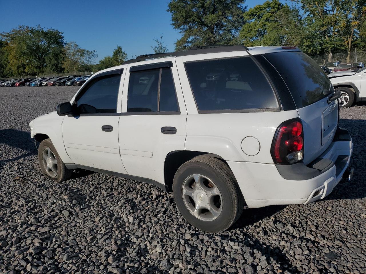 2007 Chevrolet Trailblazer Ls - Фото 2