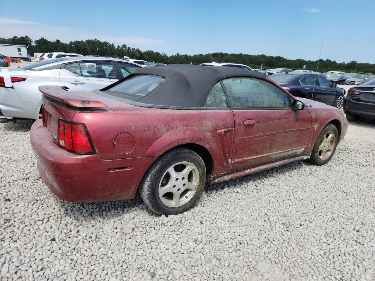 2003 Ford Mustang - Фото 3