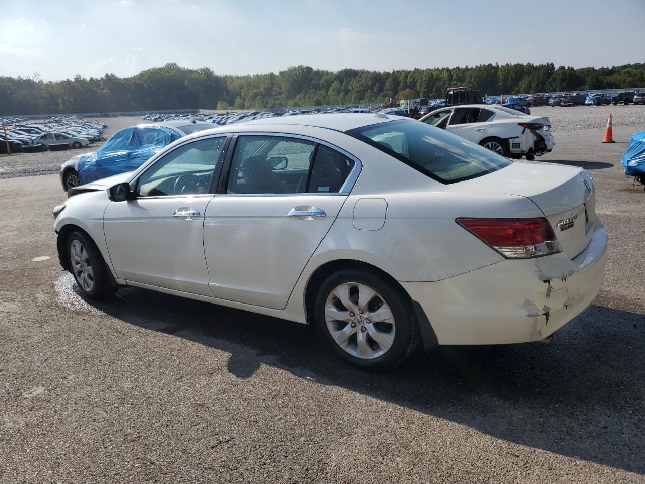 2008 Honda Accord Exl - Image 2