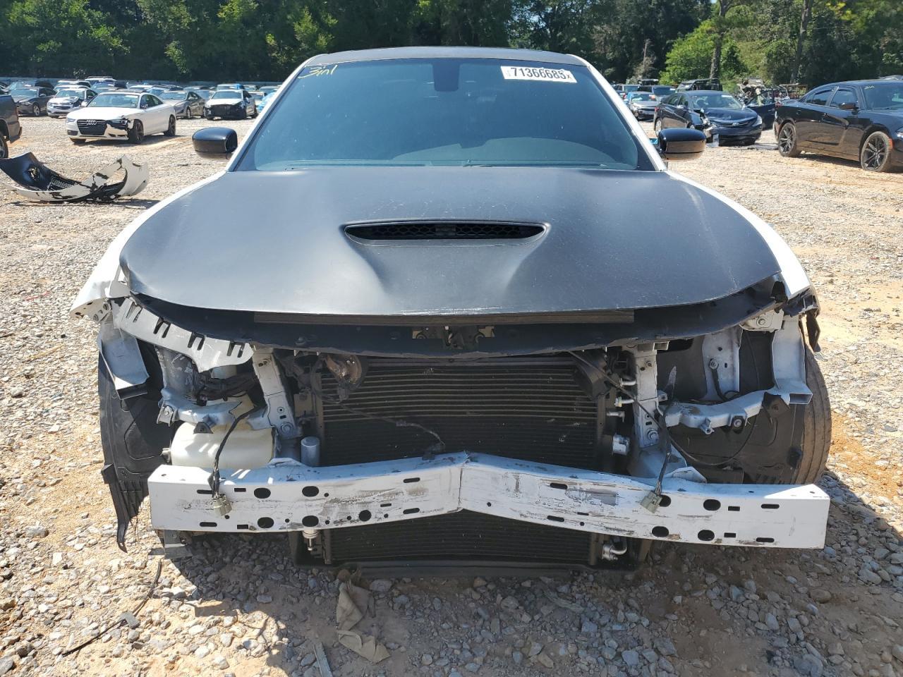2019 Dodge Charger R/T - Фото 5