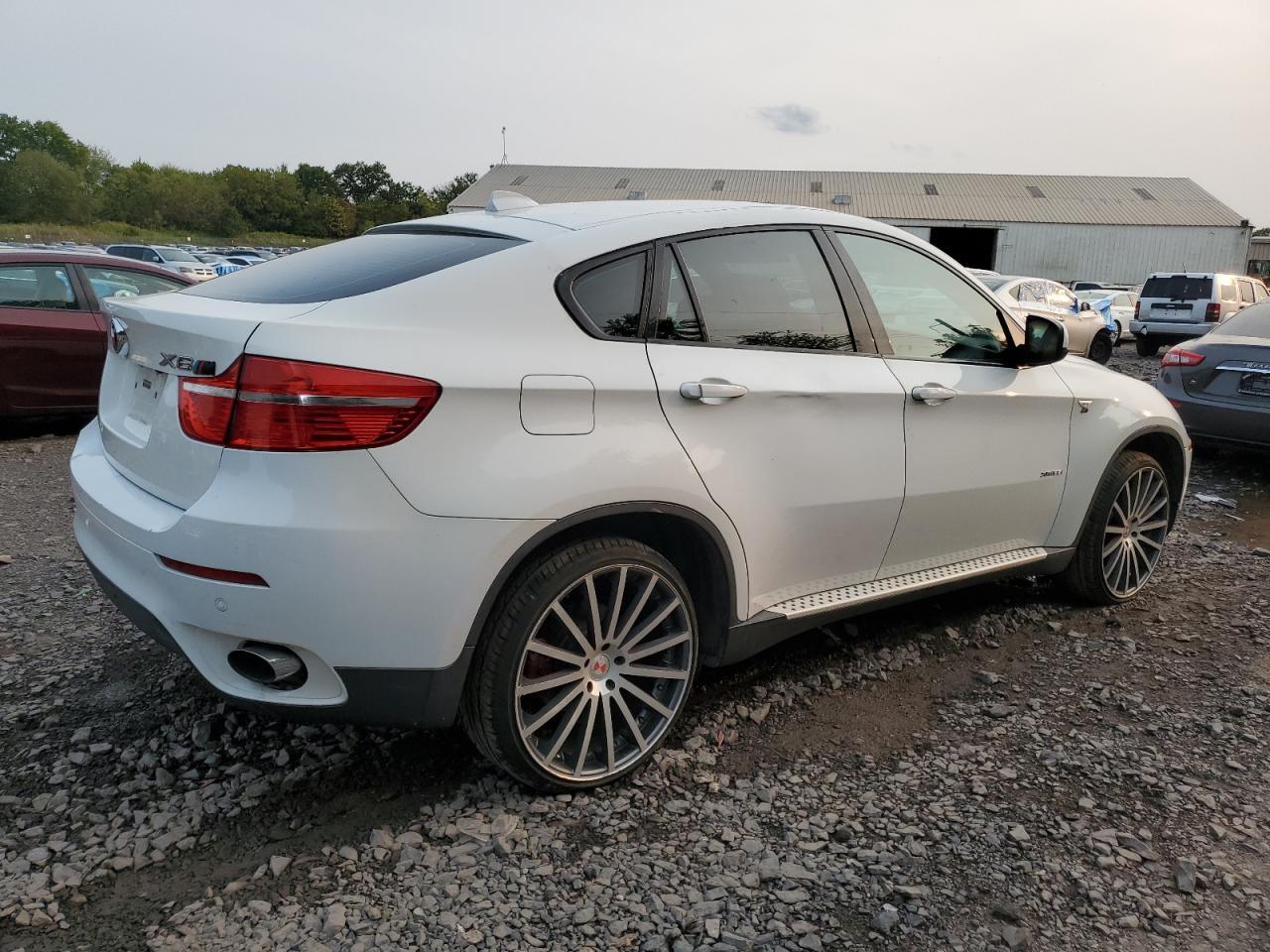 2010 BMW X6 xDrive35I - Фото 3