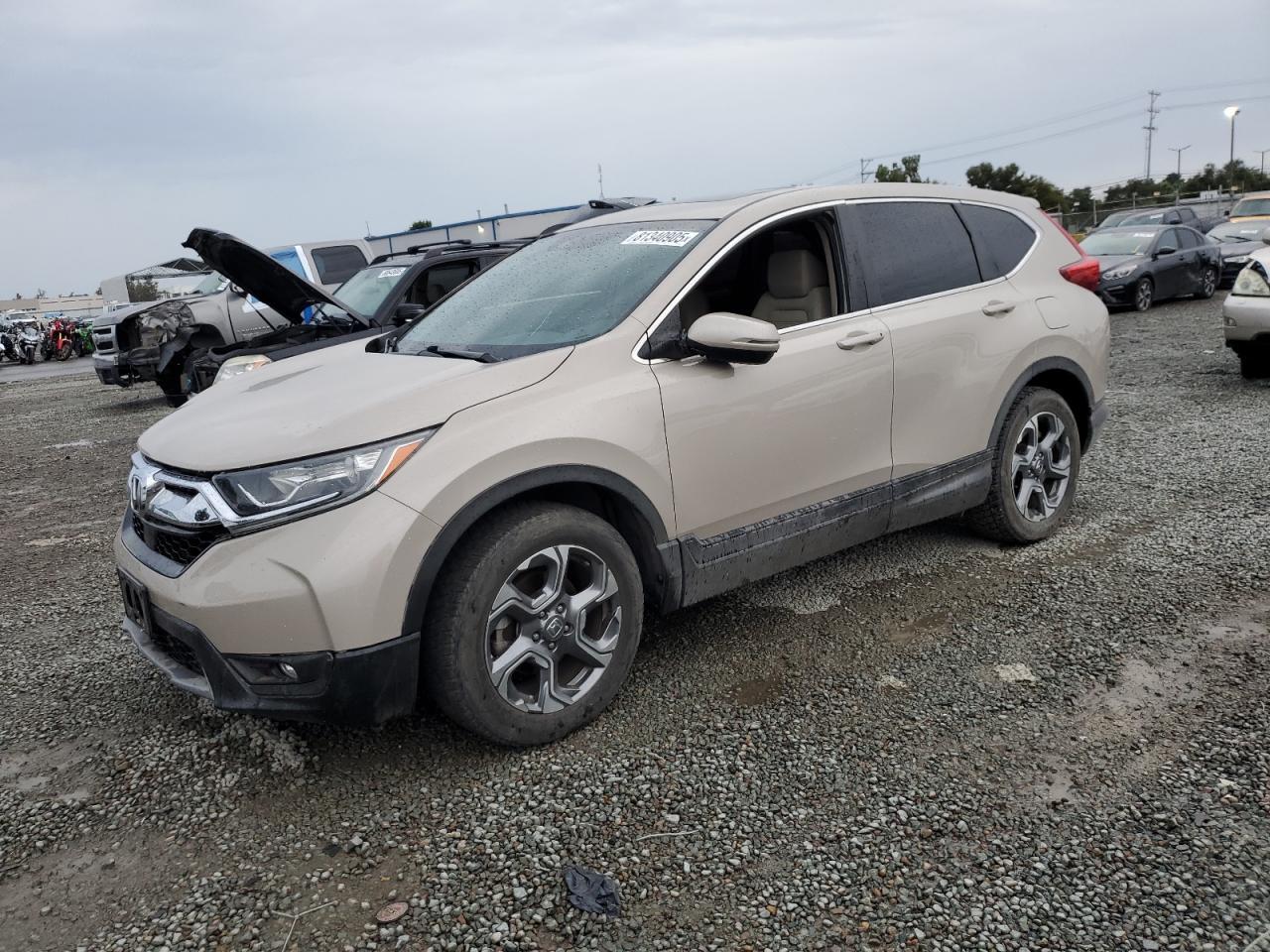 2019 Honda Cr-V Ex