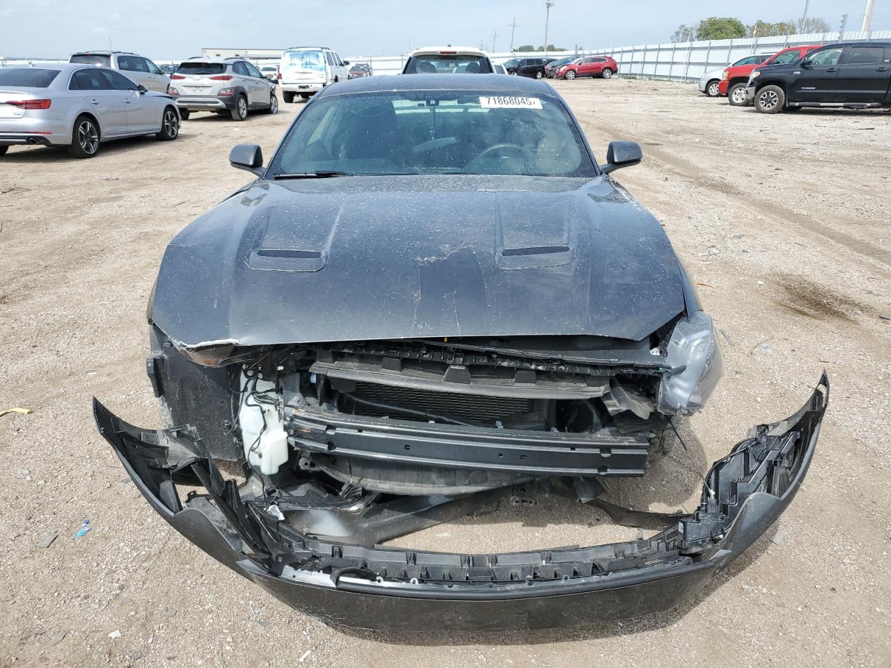 2019 Ford Mustang Gt - Фото 5