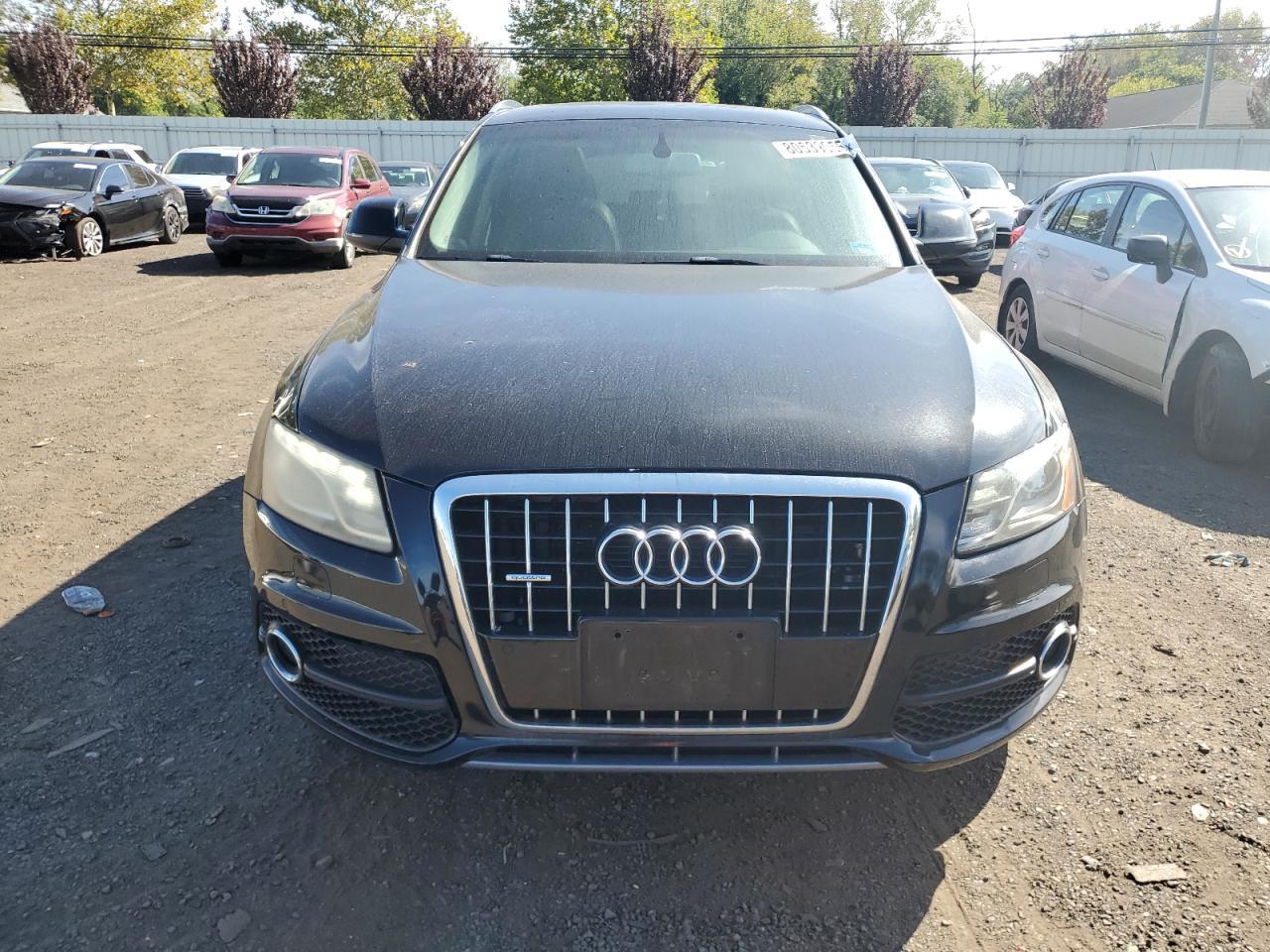 2011 Audi Q5 Premium Plus - Фото 5