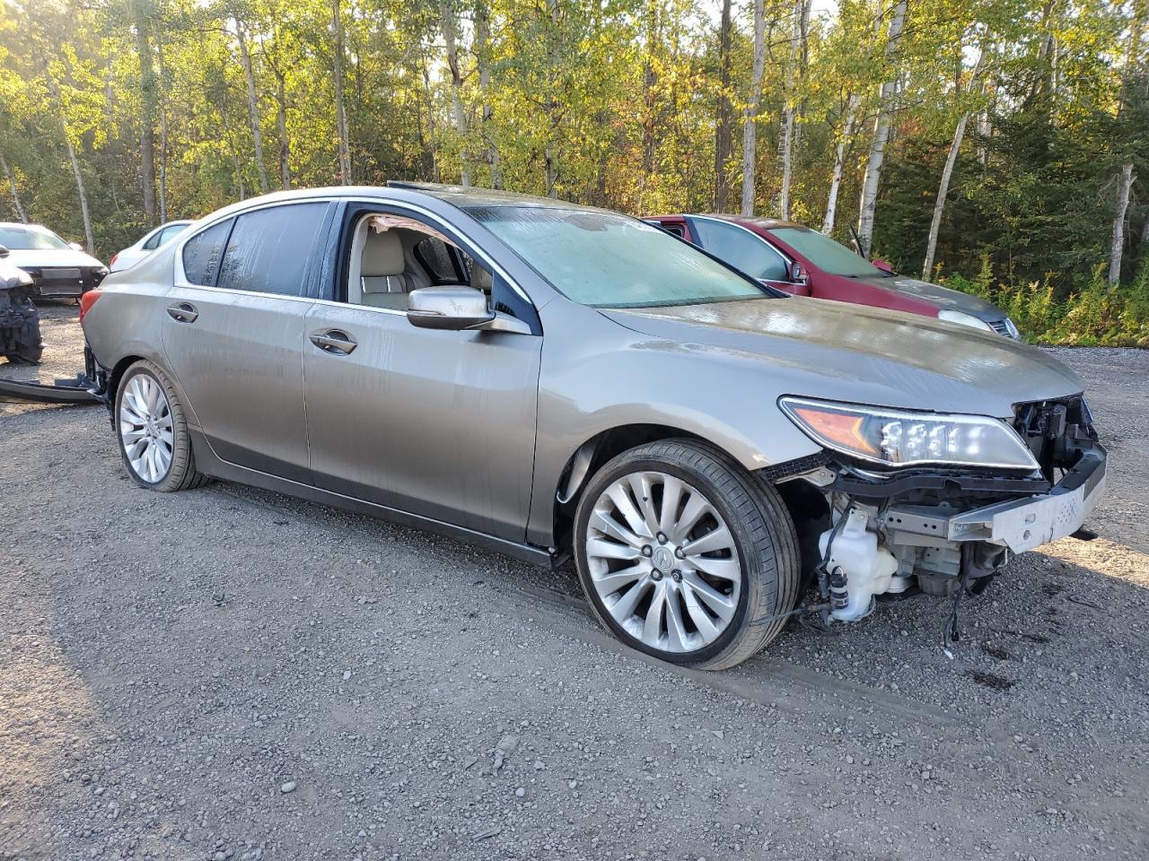 2014 Acura Rlx Advance - Фото 4