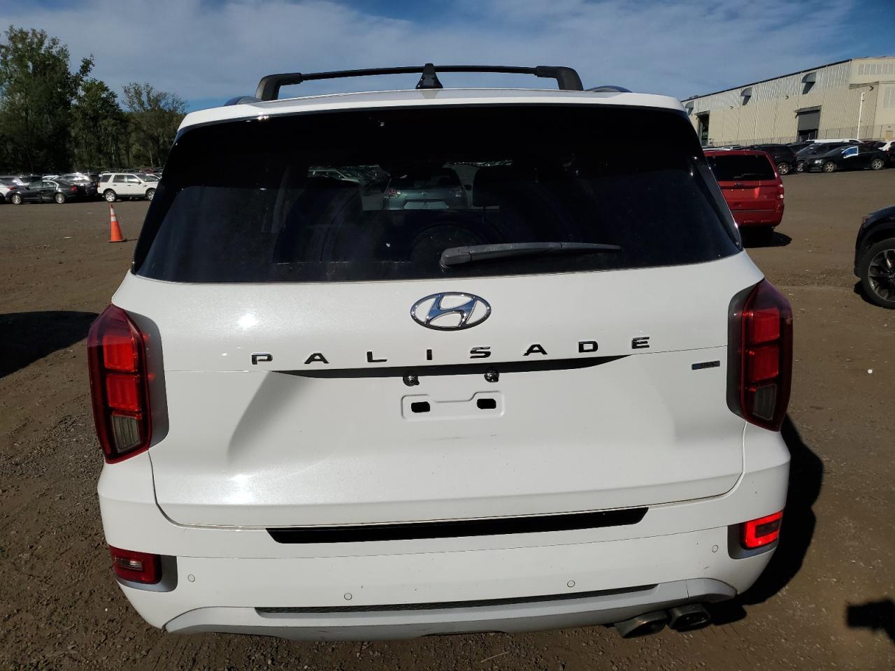 2021 Hyundai Palisade Limited - Фото 6