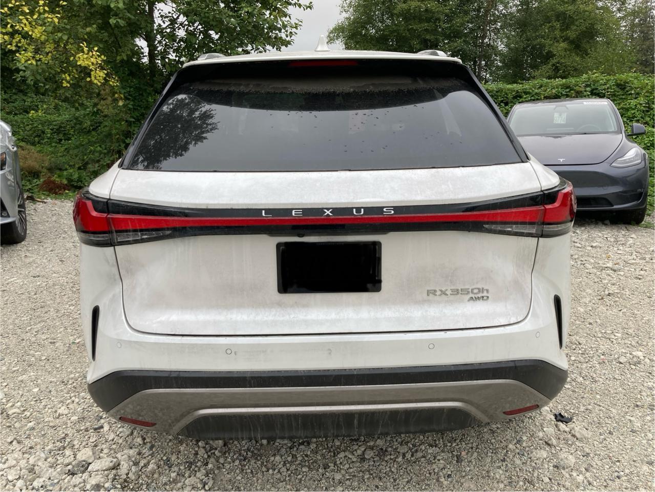 2023 Lexus Rx 350H Base - Image 7