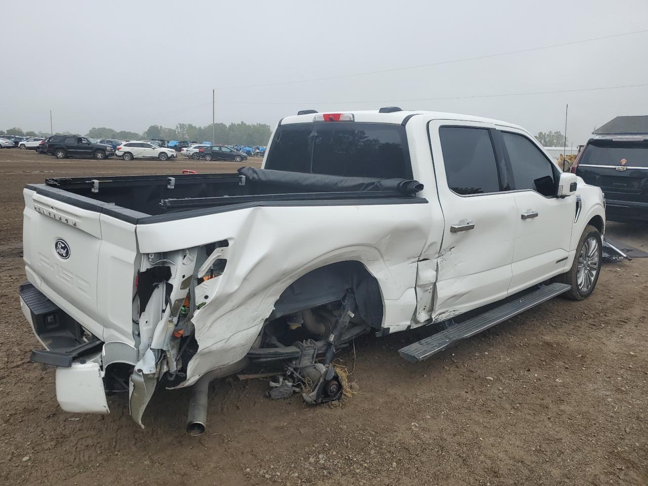 2024 Ford F150 Platinum - Фото 3