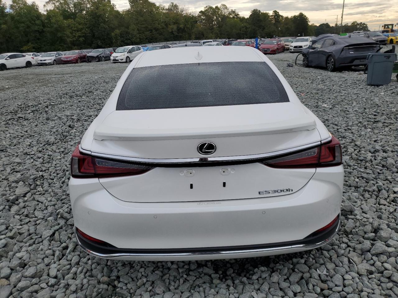 2025 Lexus Es 300H Base - Фото 6