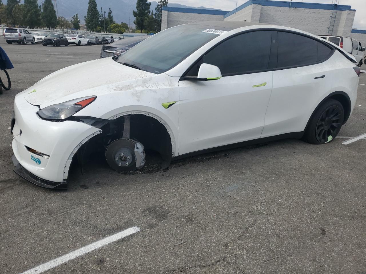 2025 Tesla Model Y