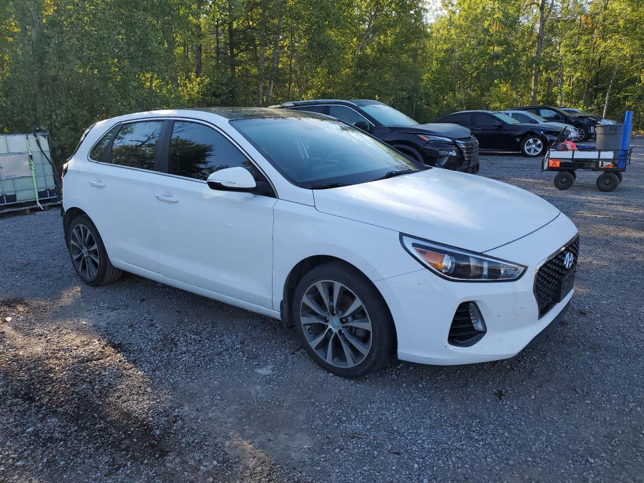 2018 Hyundai Elantra Gt - Фото 4