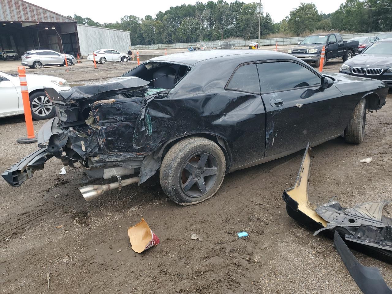 2010 Dodge Challenger Se - Фото 3