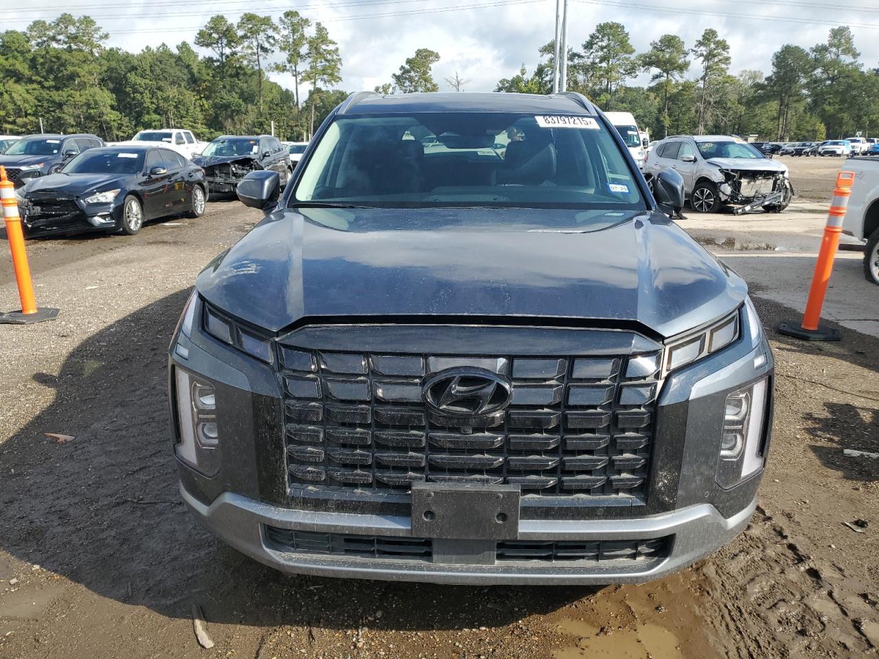 2024 Hyundai Palisade Sel Premium - Фото 5