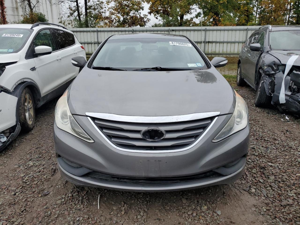 2014 Hyundai Sonata Gls - Фото 5