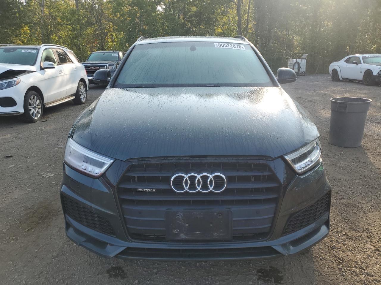 2018 Audi Q3 Technik - Фото 5
