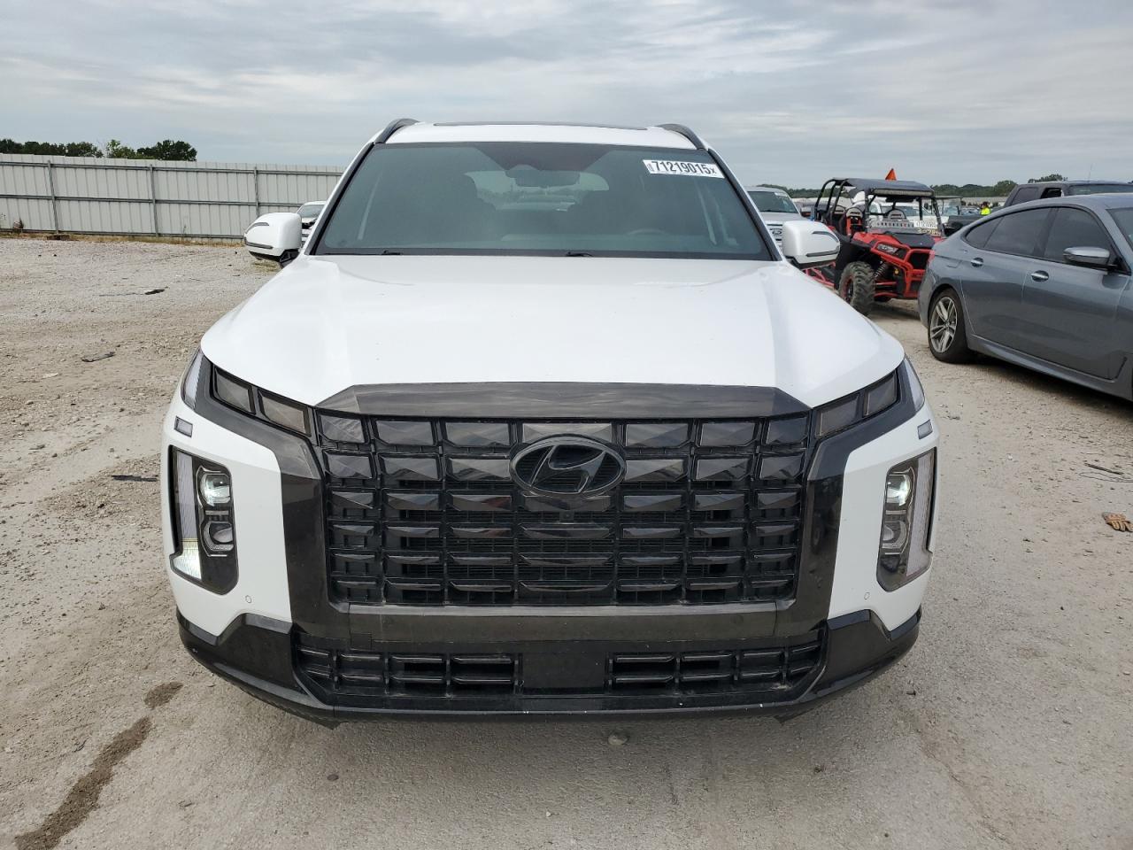 2024 Hyundai Palisade Calligraphy - Фото 5