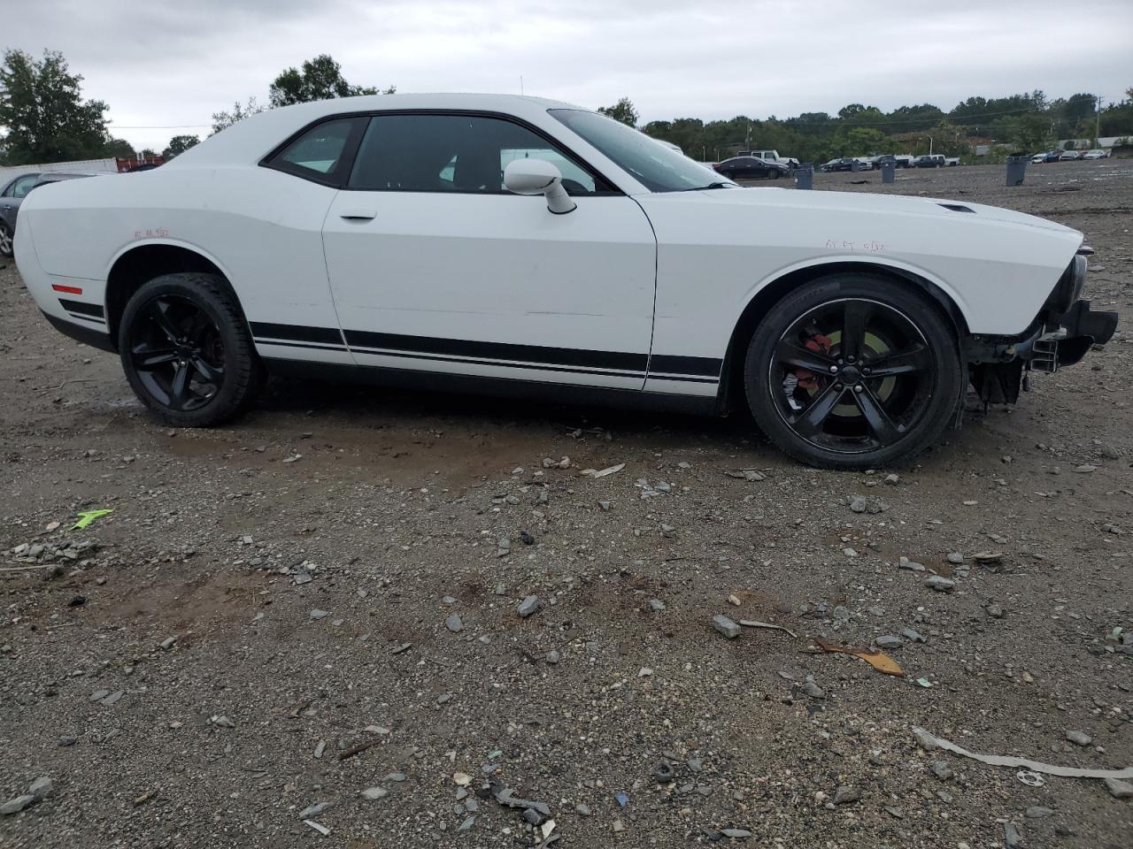 2019 Dodge Challenger Sxt - Фото 4