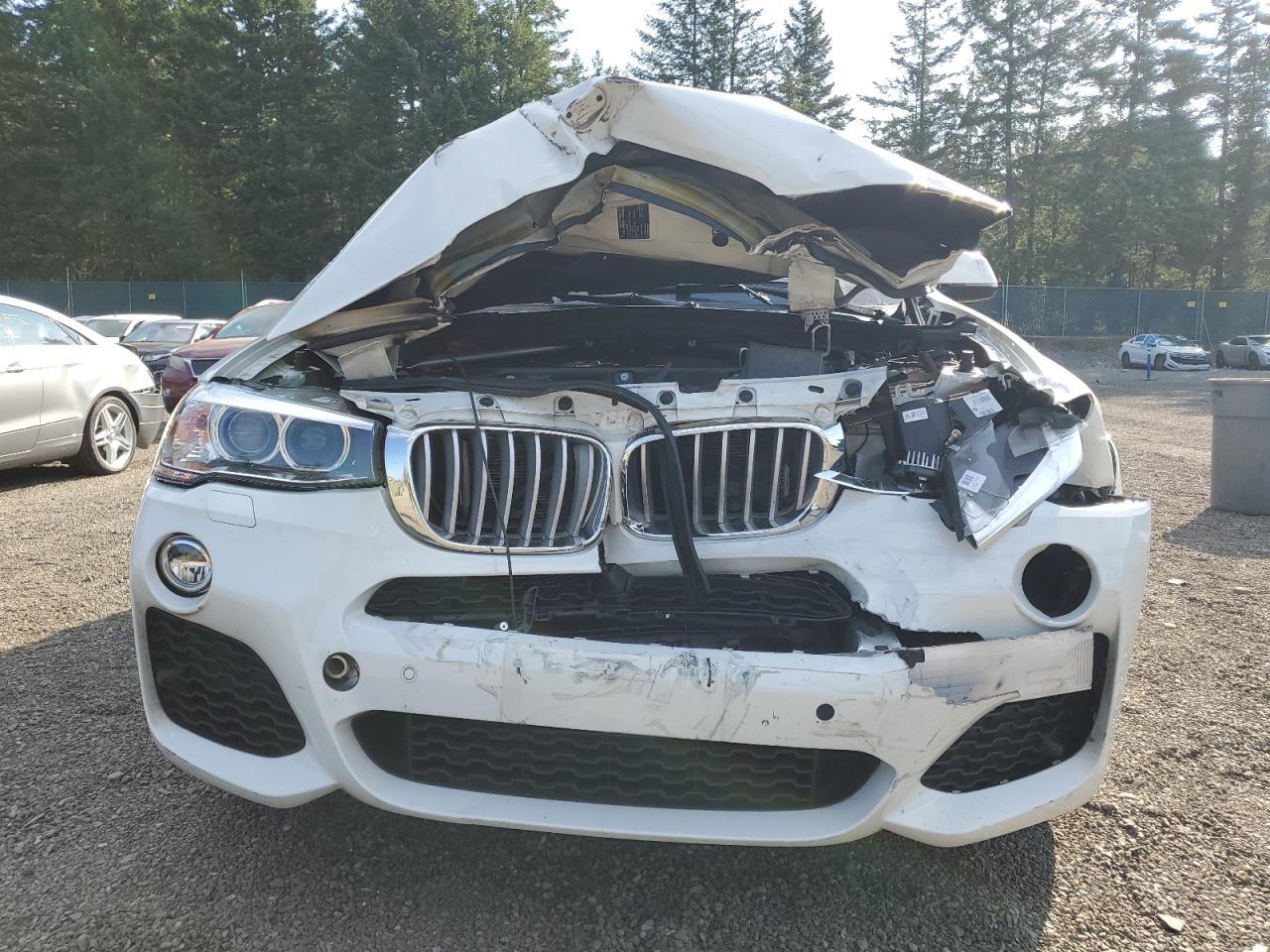 2017 BMW X3 xDrive35I - Фото 5