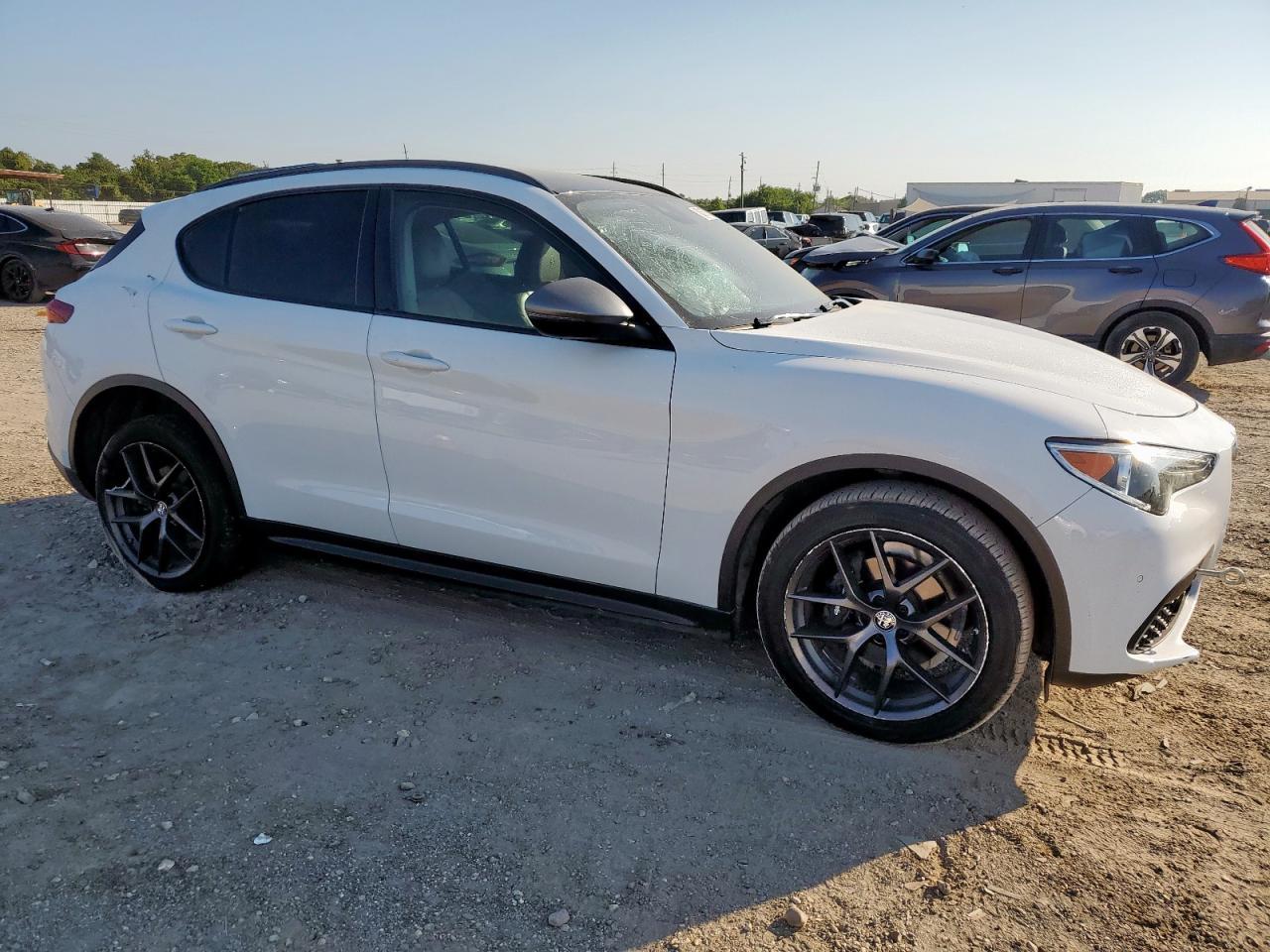 2019 Alfa Romeo Stelvio - Фото 4