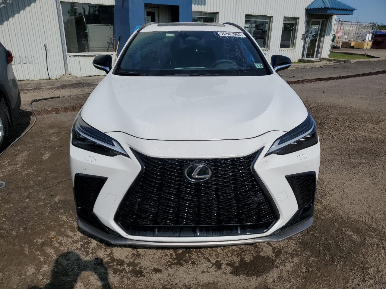 2025 Lexus Nx 350 Luxury - Image 5