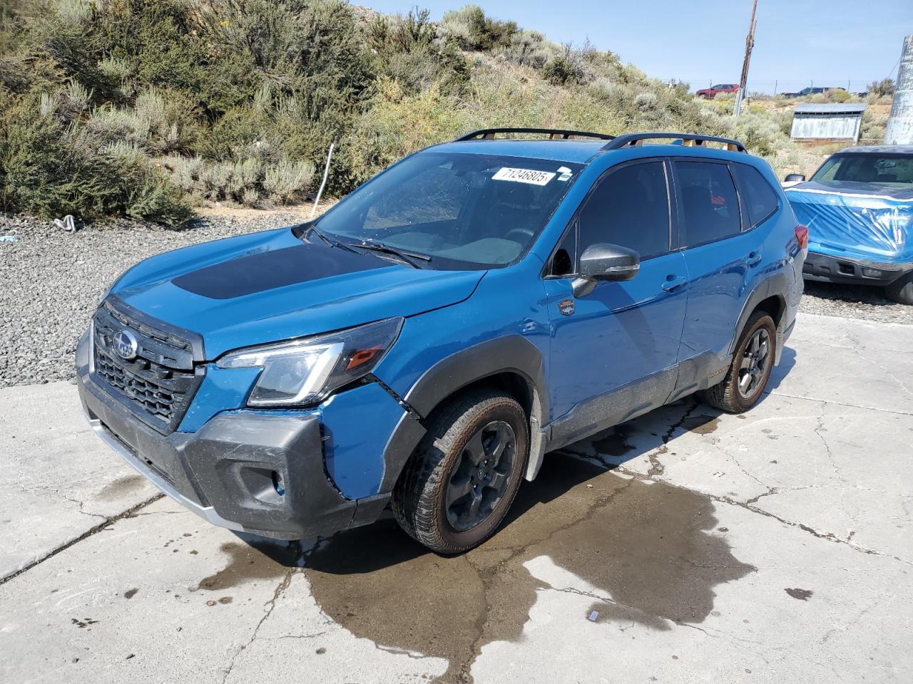 2022 Subaru Forester Wilderness