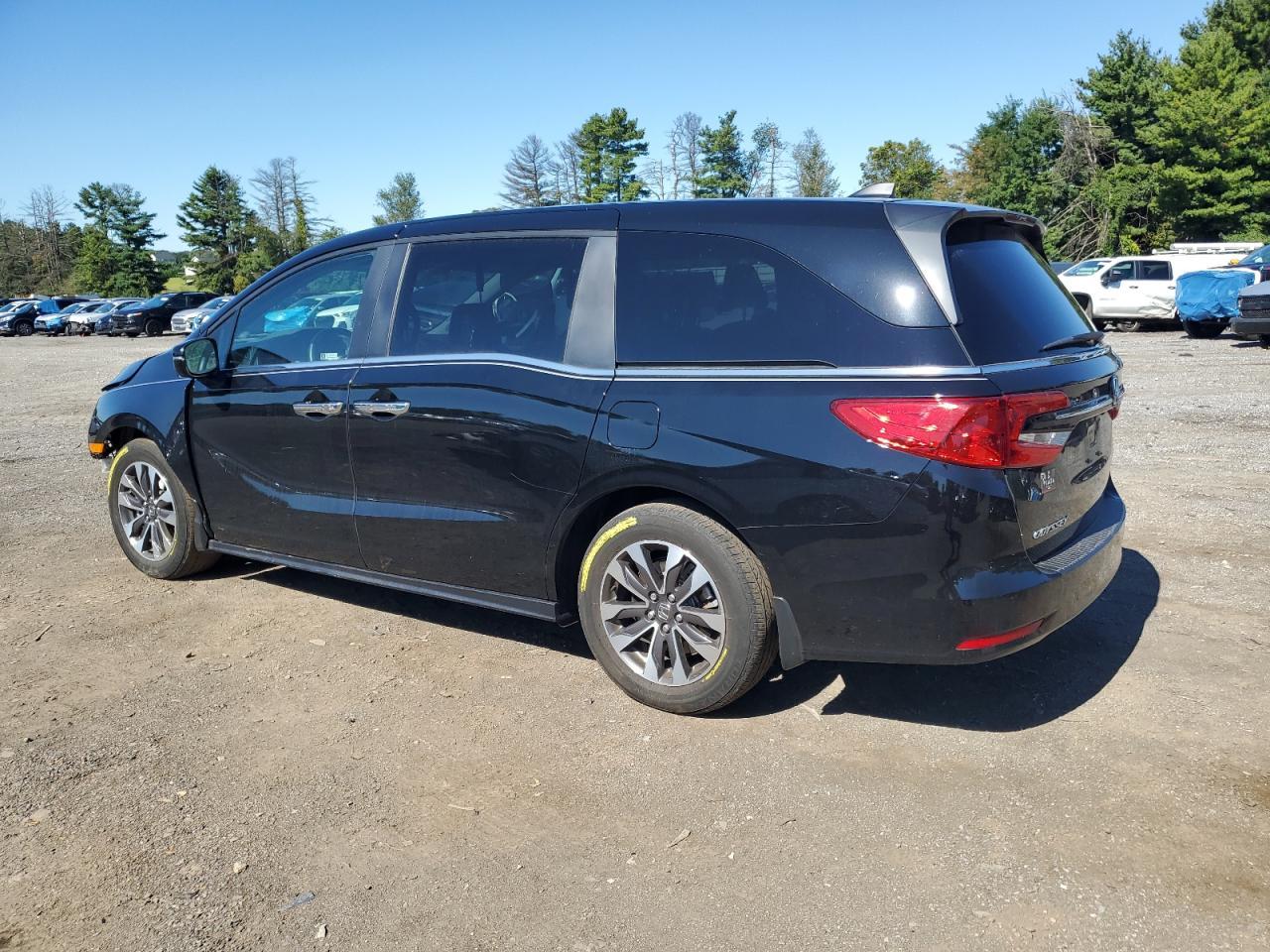 2024 Honda Odyssey Exl - Image 2