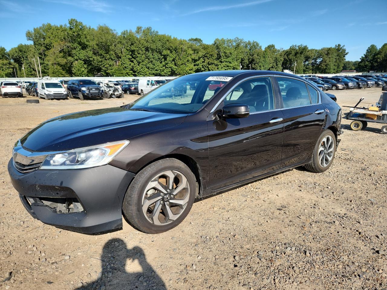 2016 Honda Accord Ex