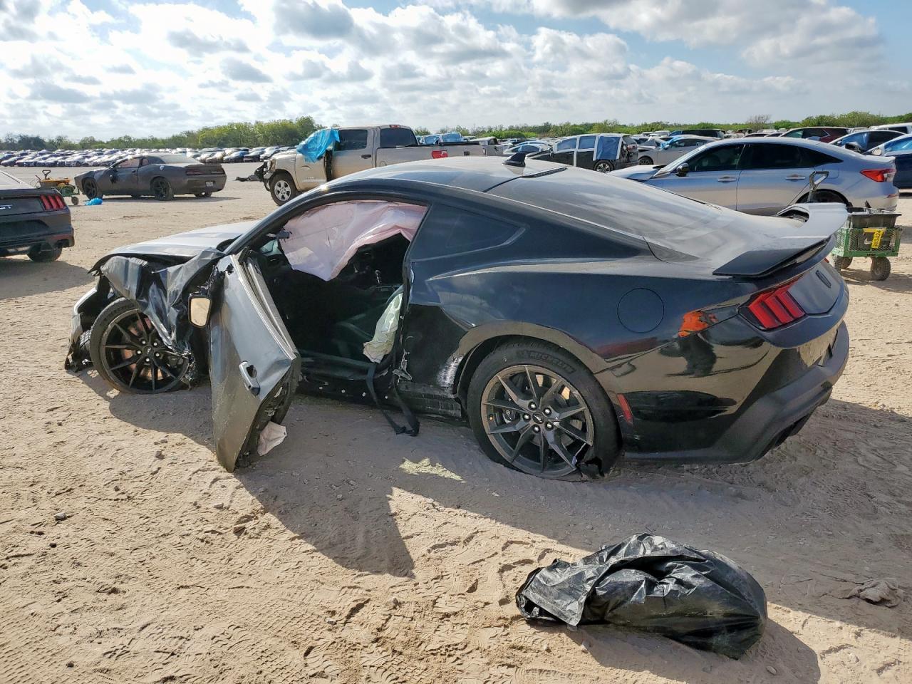 2024 Ford Mustang Dark Horse - Фото 2