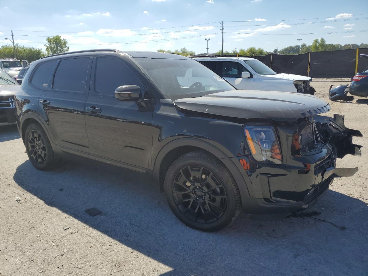 2021 Kia Telluride Sx - Фото 4
