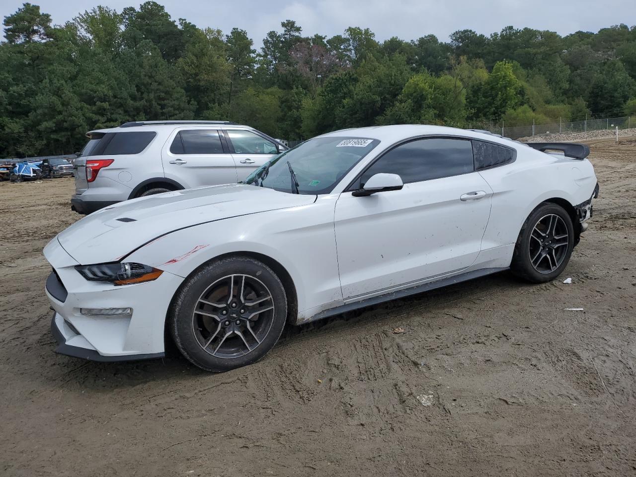 2019 Ford Mustang