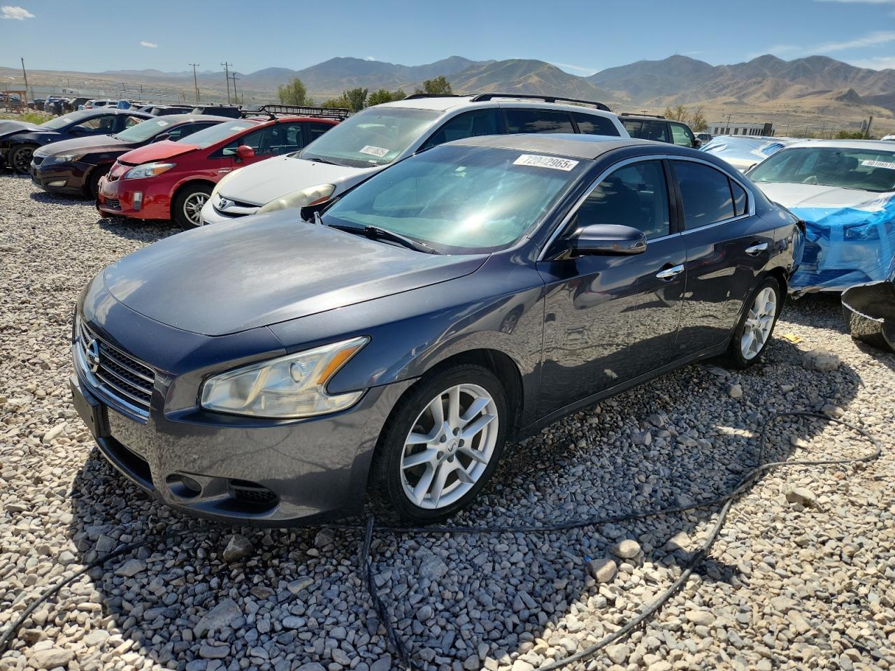 2010 Nissan Maxima S