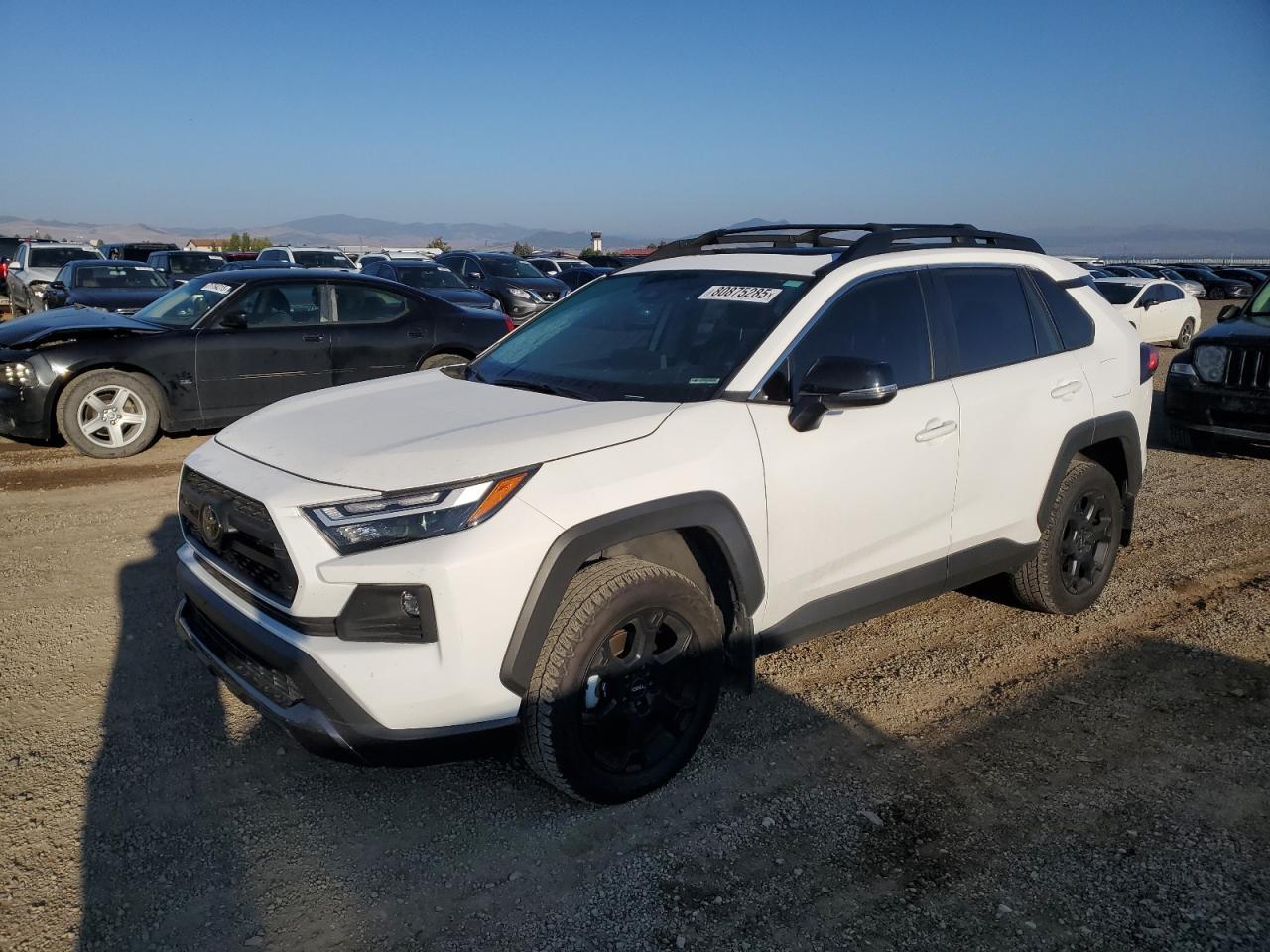 2024 Toyota Rav4 Trd Off Road
