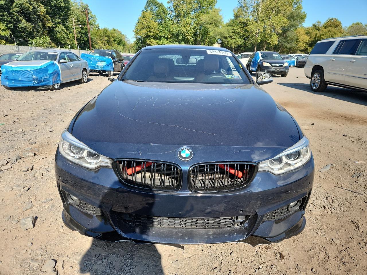 2015 BMW 428 Xi Sulev - Image 5