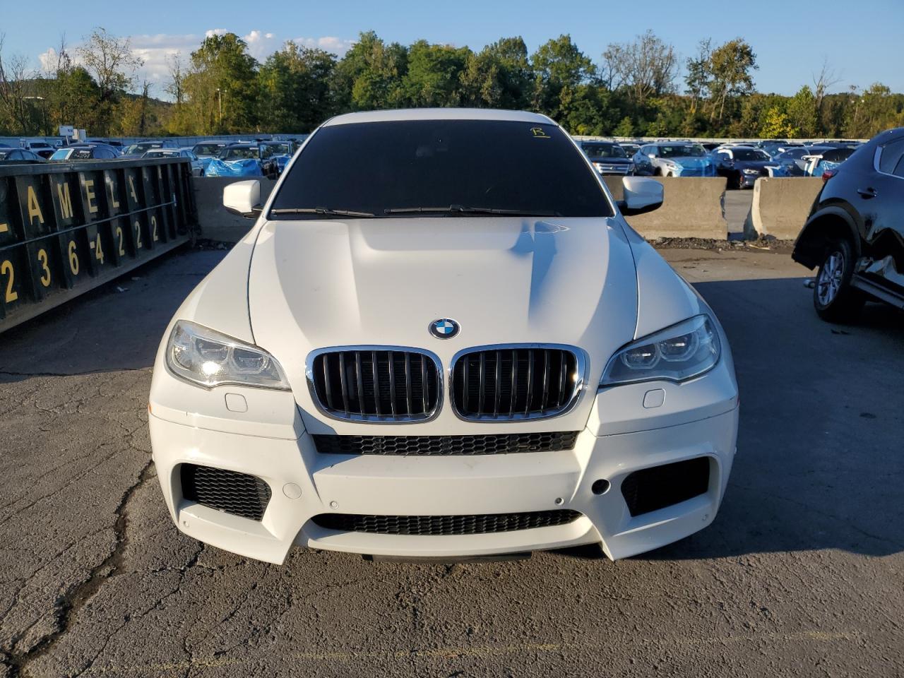 2014 BMW X6 M - Фото 5