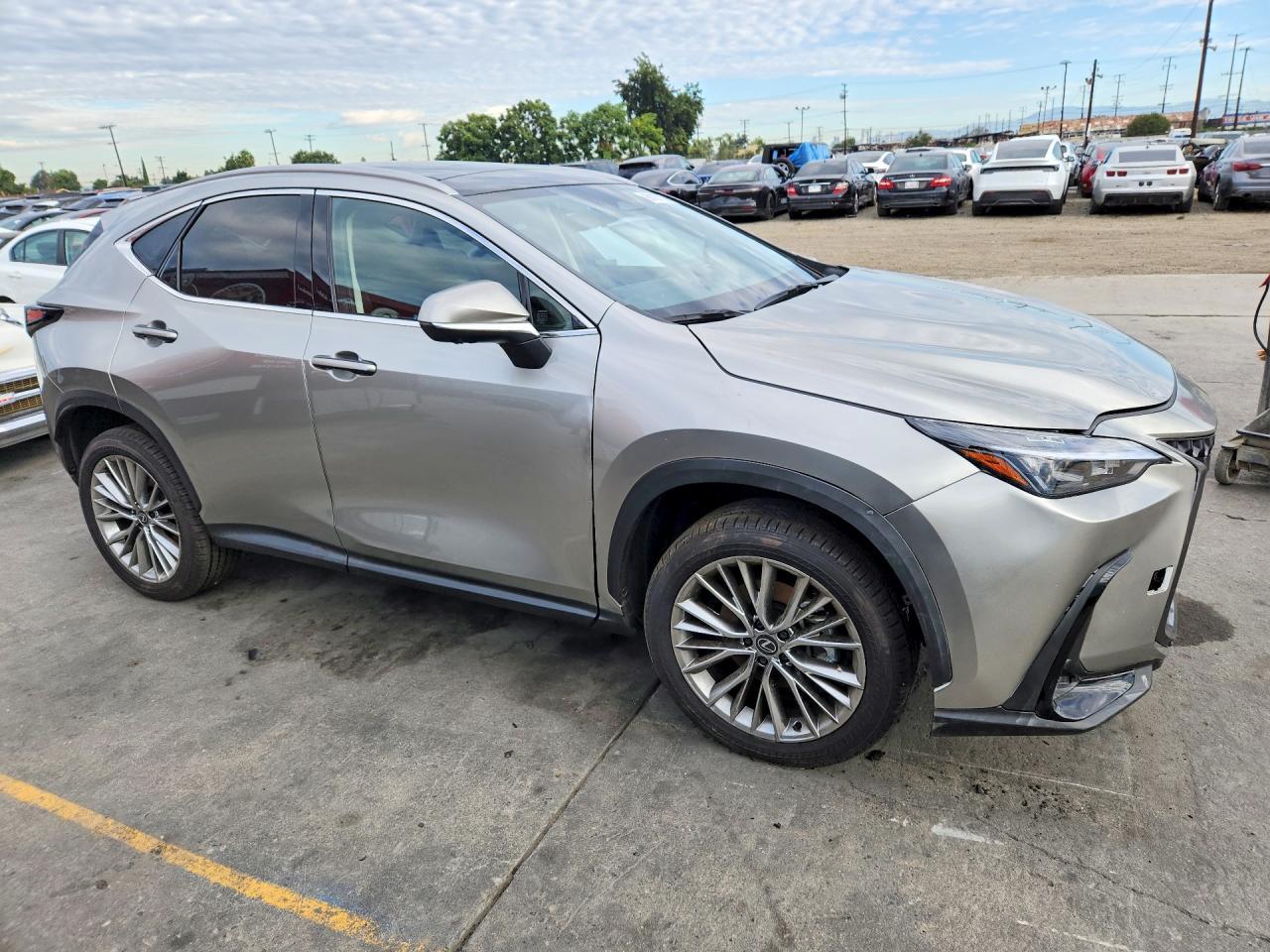 2026 Lexus Nx 350H Luxury - Image 4