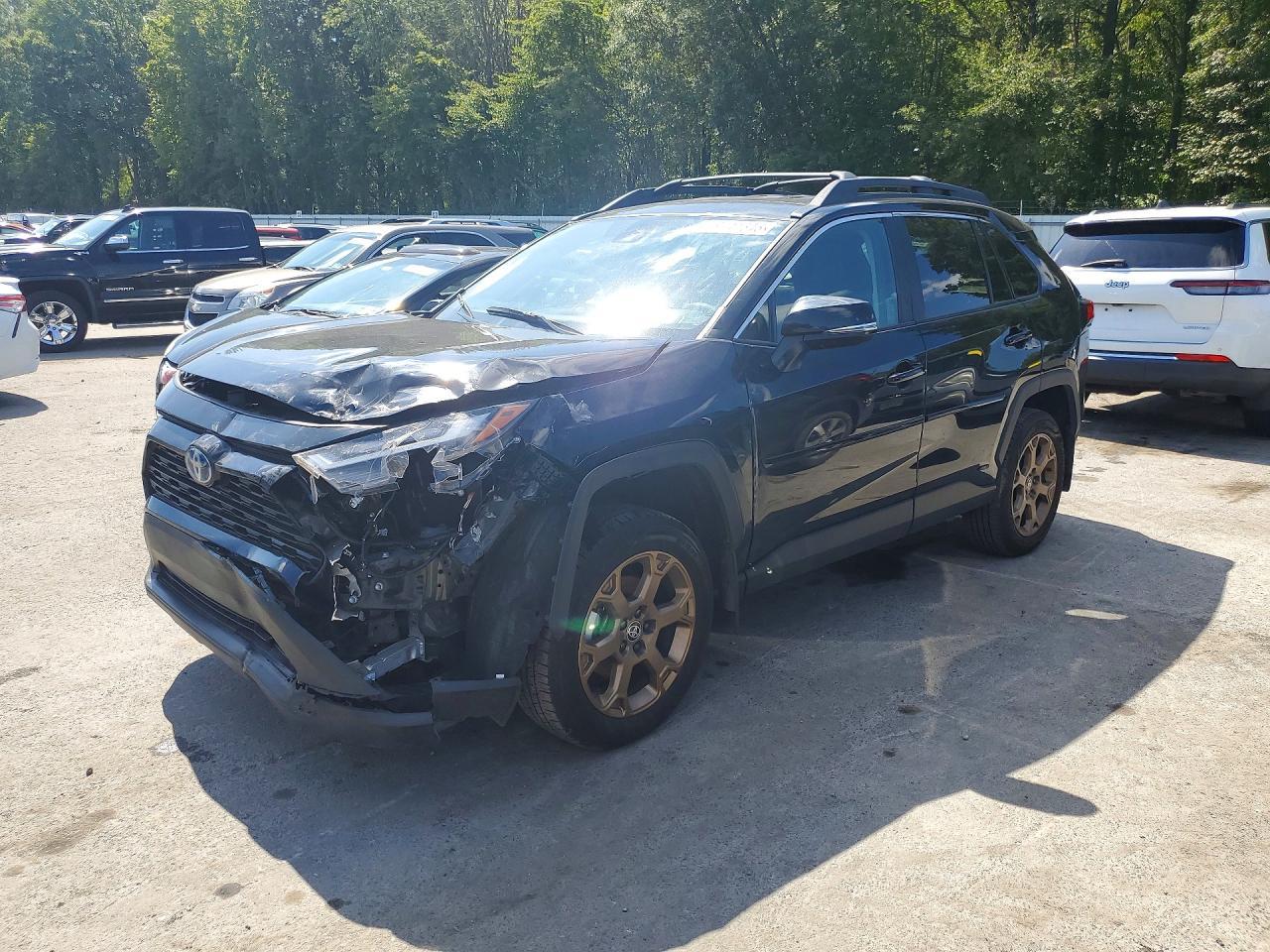 2024 Toyota Rav4 Woodland Edition