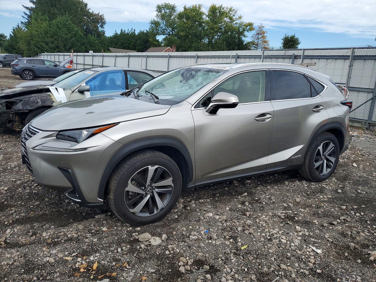 2020 Lexus Nx 300H