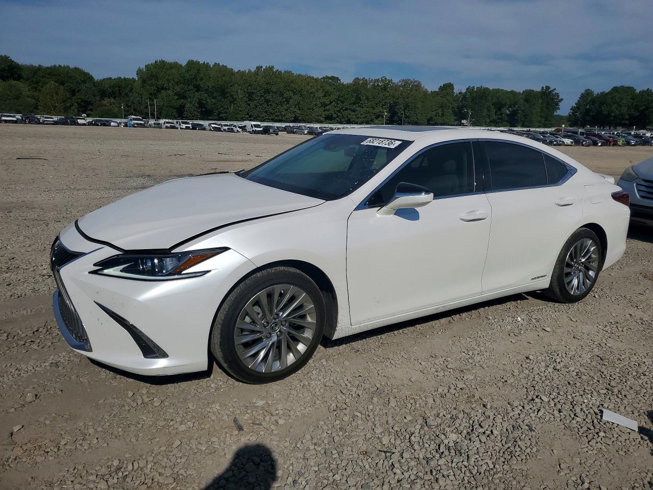 2020 Lexus Es