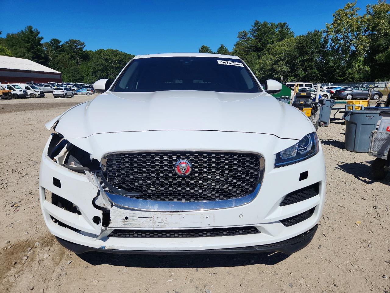 2019 Jaguar F-Pace - Фото 5