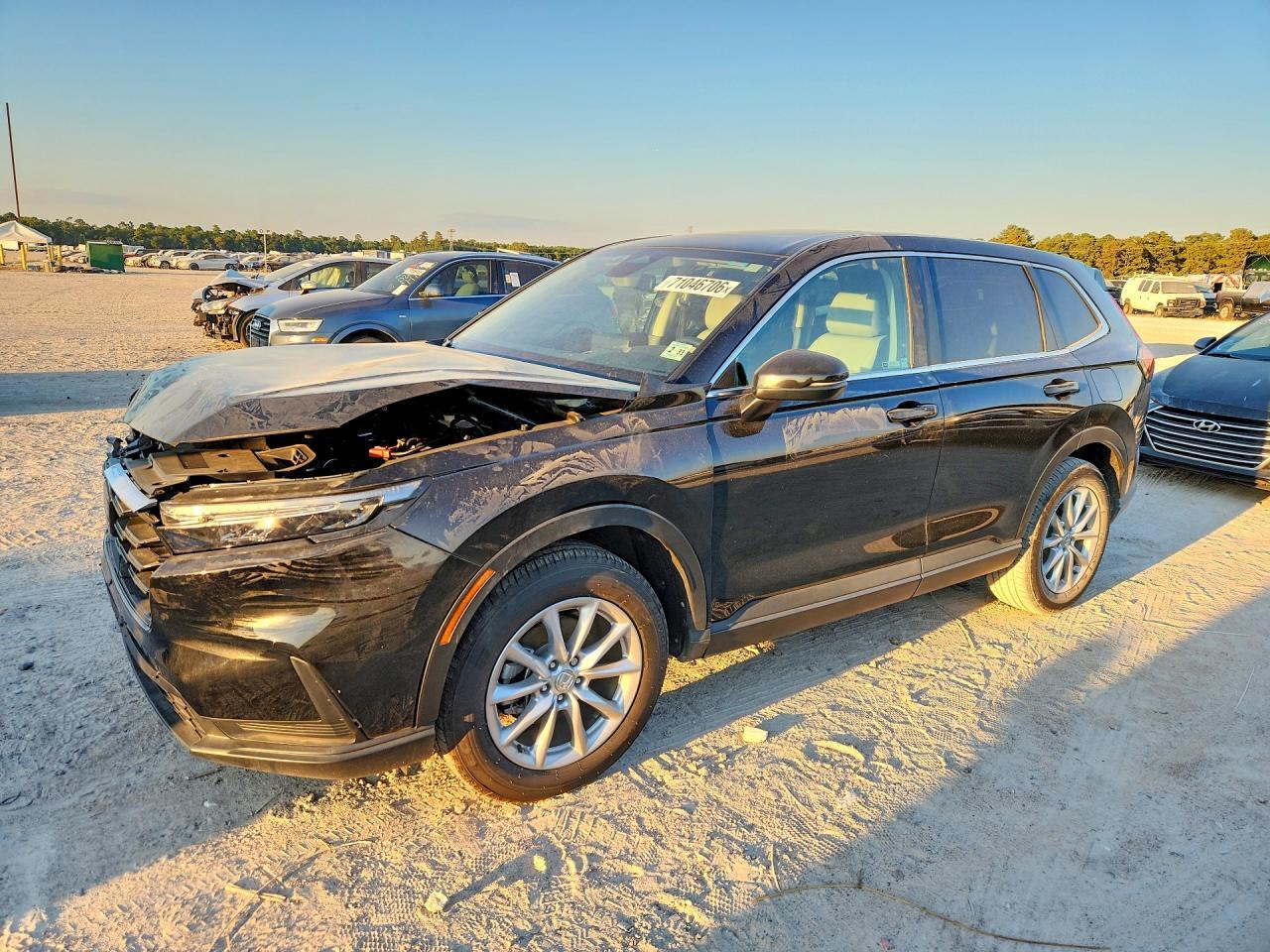 2026 Honda Cr-V Exl