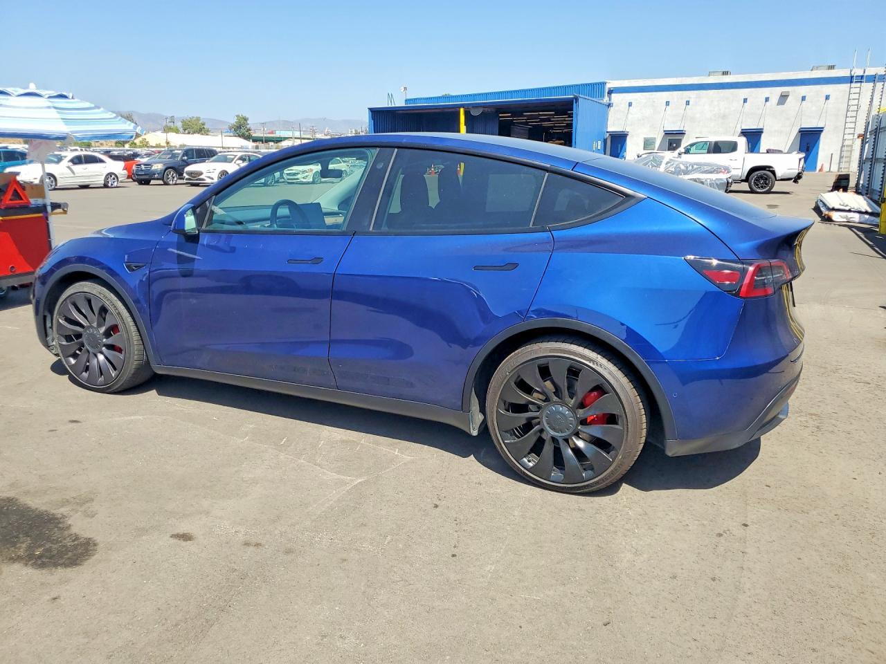 2022 Tesla Model Y - Фото 2