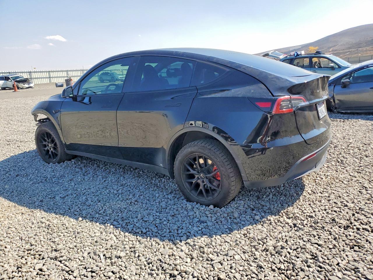 2022 Tesla Model Y - Фото 2