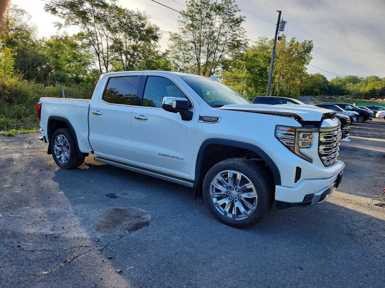 2025 GMC Sierra K1500 Denali - Фото 4